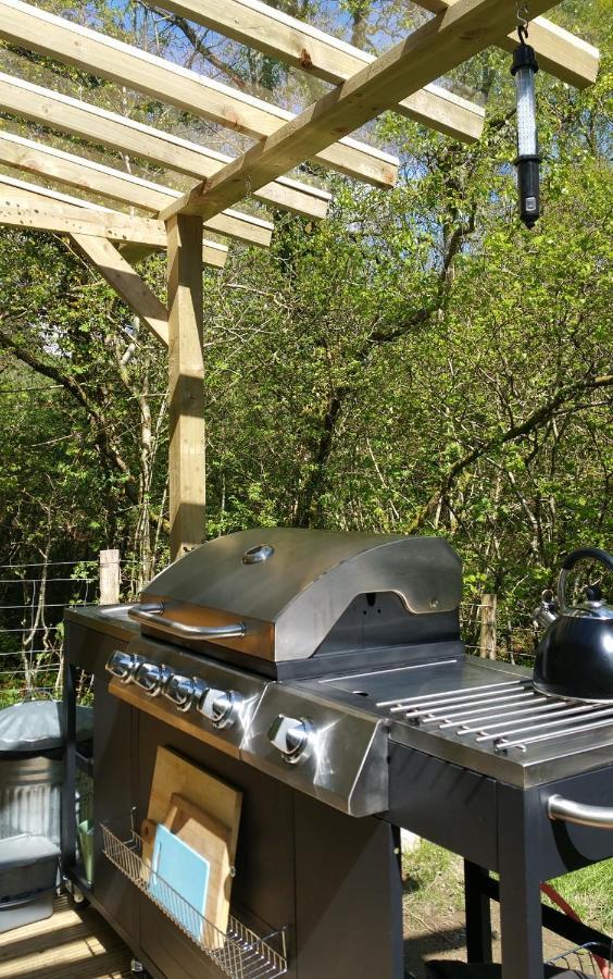 Snowdonia Shepherds' Huts Conwy Luaran gambar