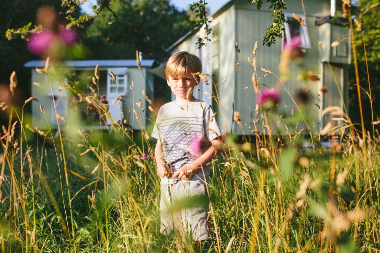 Snowdonia Shepherds' Huts Conwy Luaran gambar