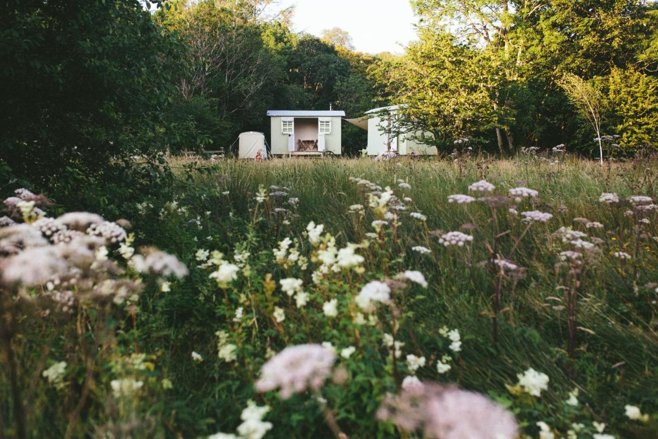 Snowdonia Shepherds' Huts Conwy Luaran gambar